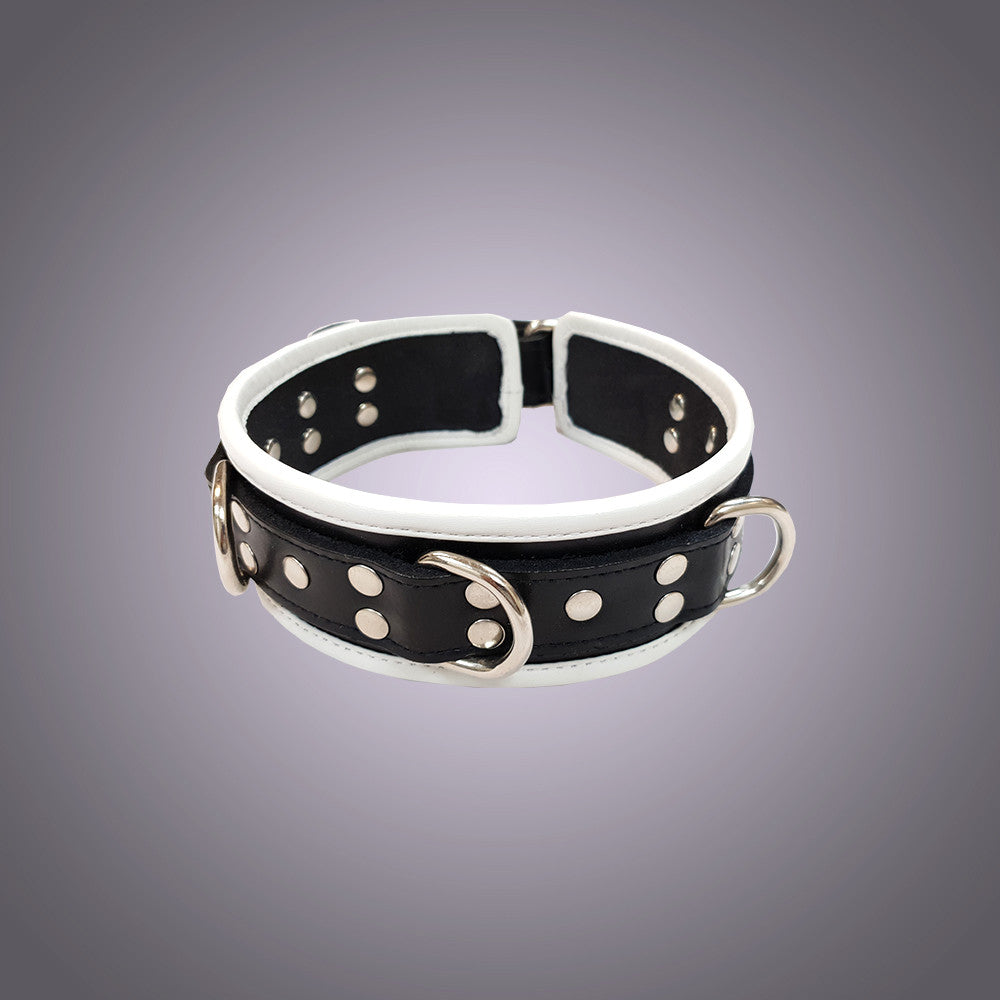 Leather 5 D-Ring Collar with Coloured Piping