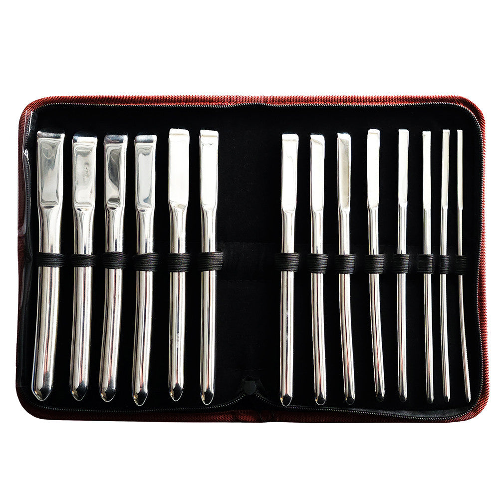 Stainless Steel Hegar Uterine 14 Piece Dilator Set In Case