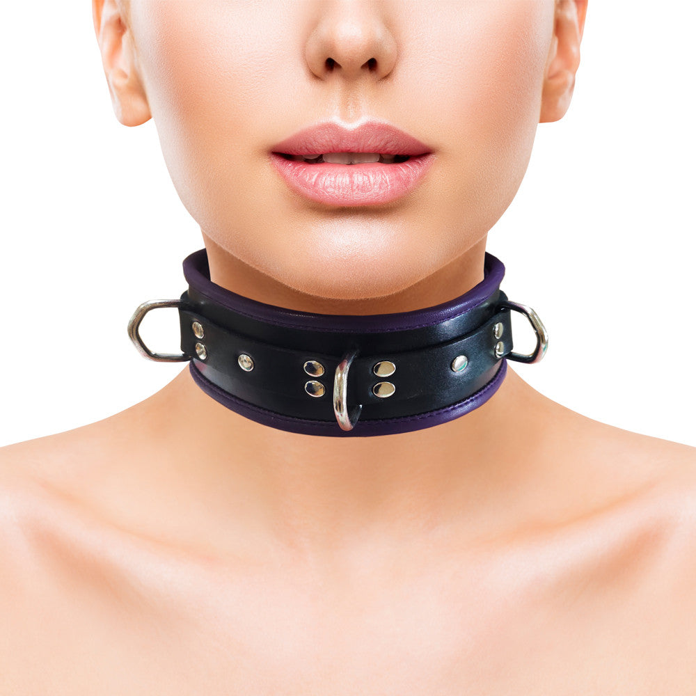 Leather 3 D-Ring Padded Collar