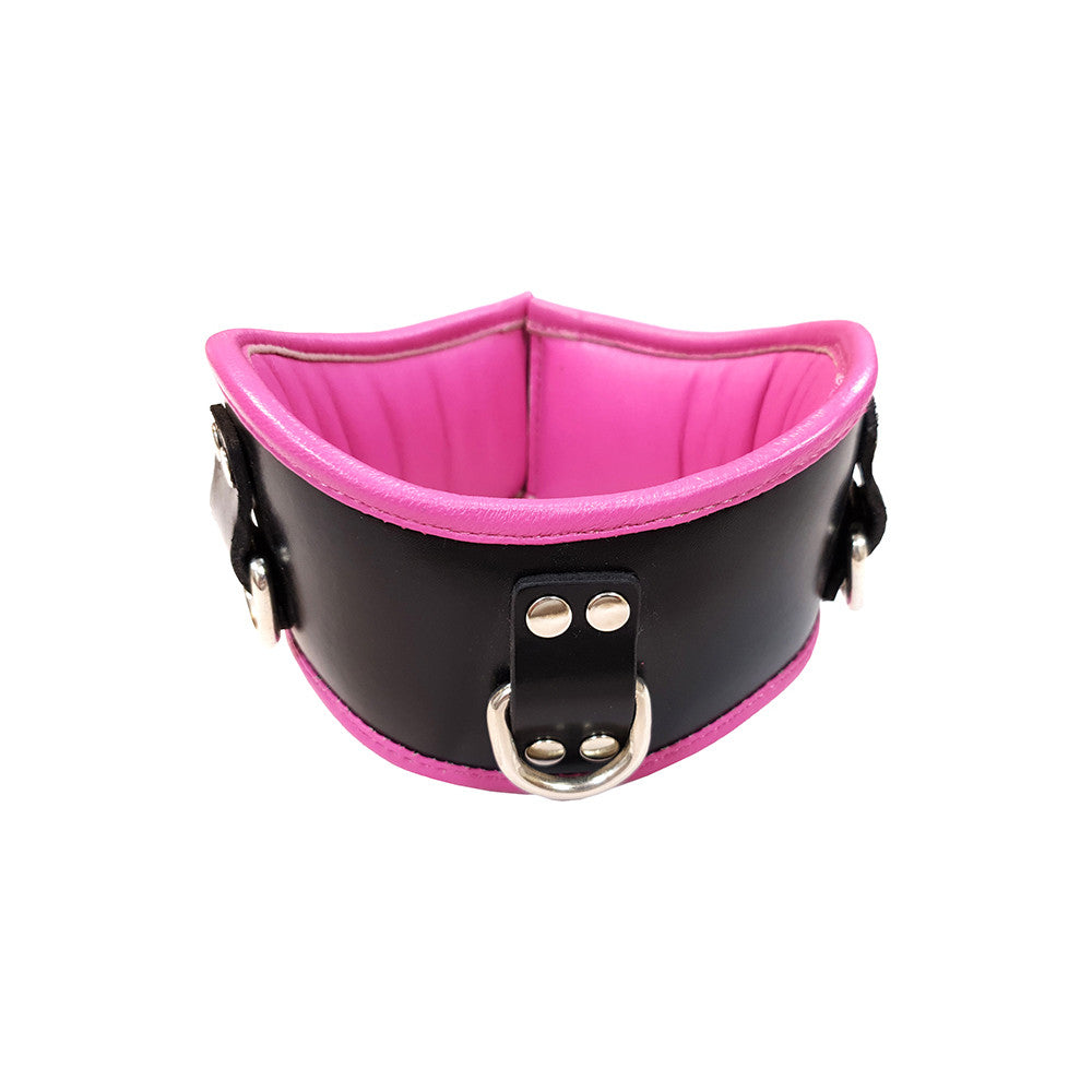 Leather Padded Posture Collar With 3 D-Rings