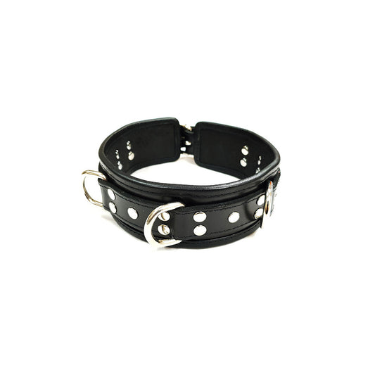 Leather 5 D-Ring Collar with Coloured Piping