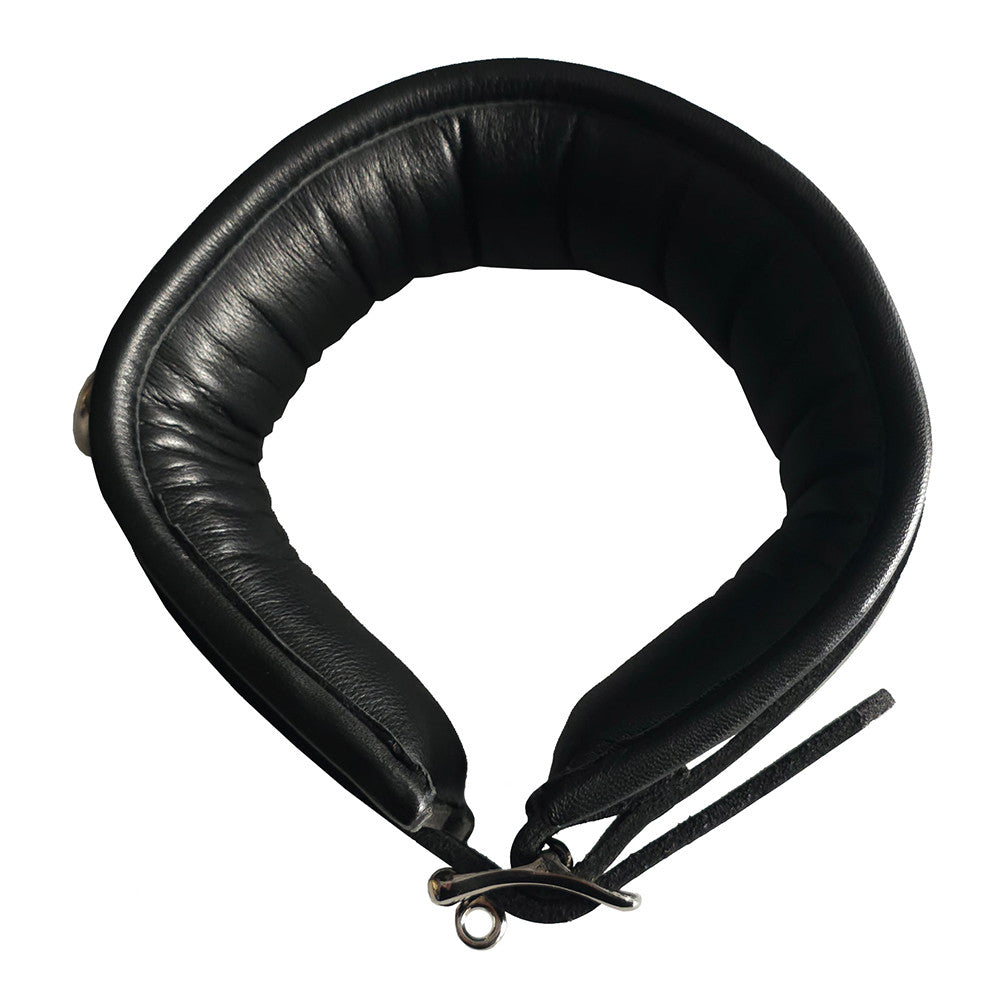 Leather 3 D-Ring Padded Collar