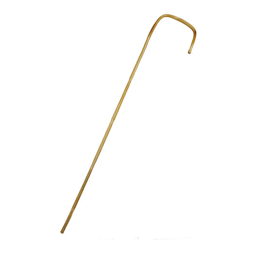 Bamboo Cane