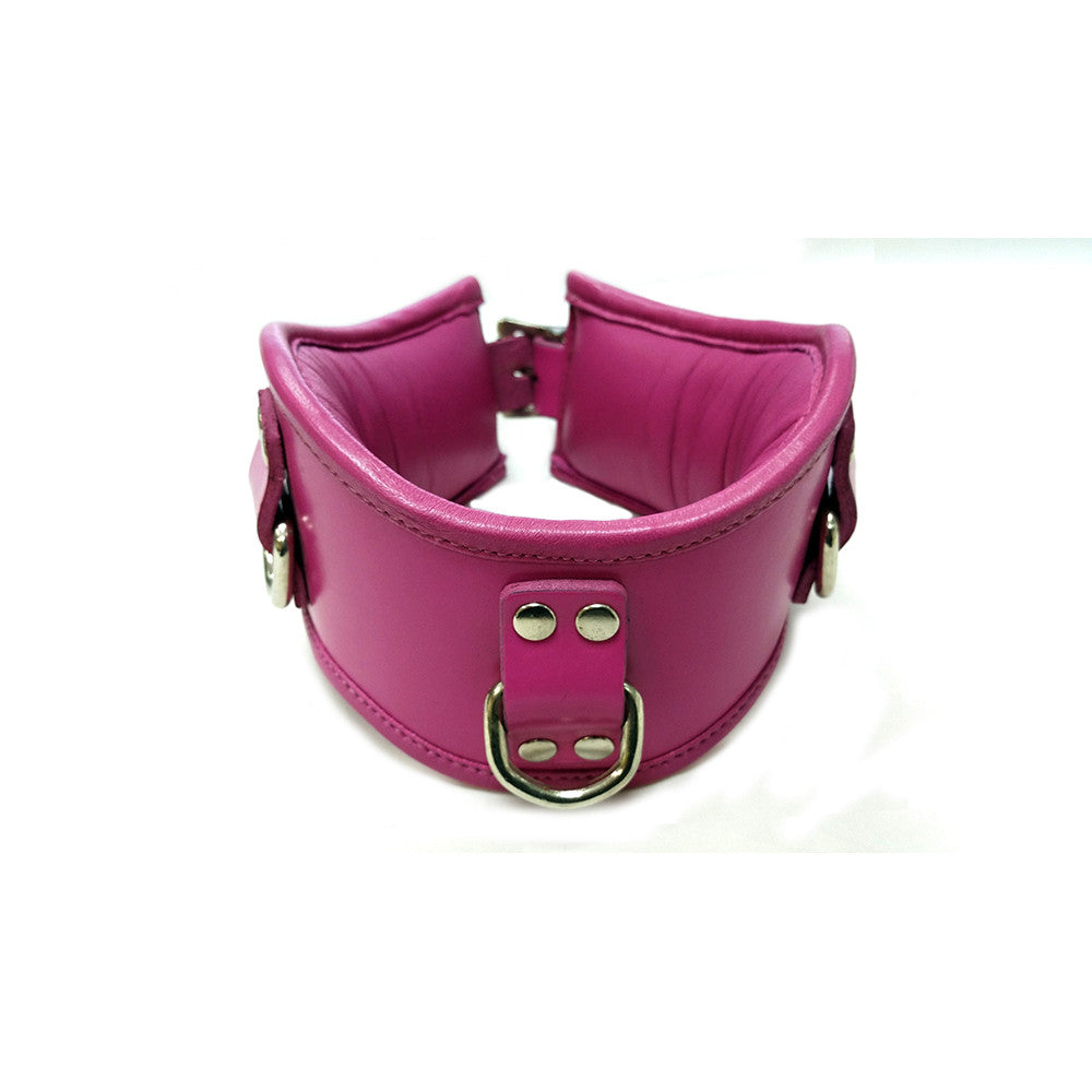 Leather Padded Posture Collar With 3 D-Rings