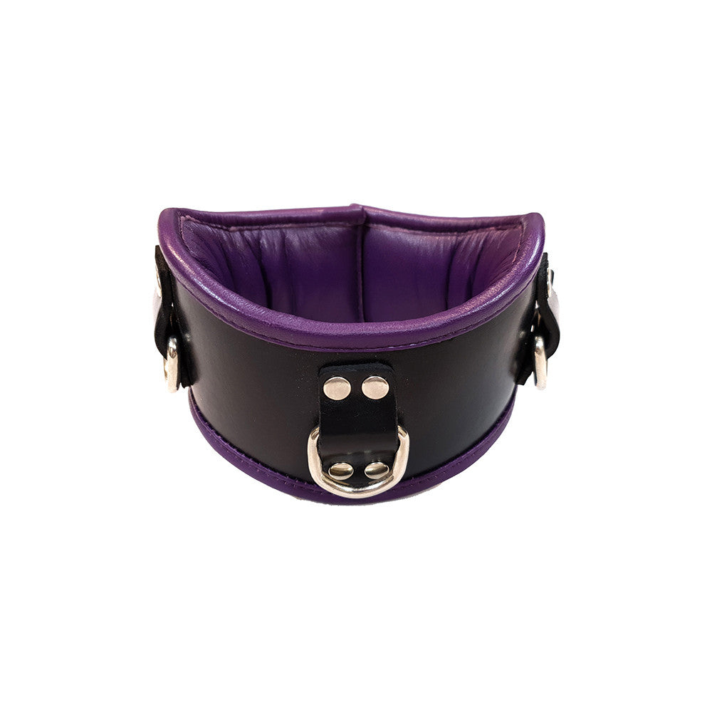 Leather Padded Posture Collar With 3 D-Rings