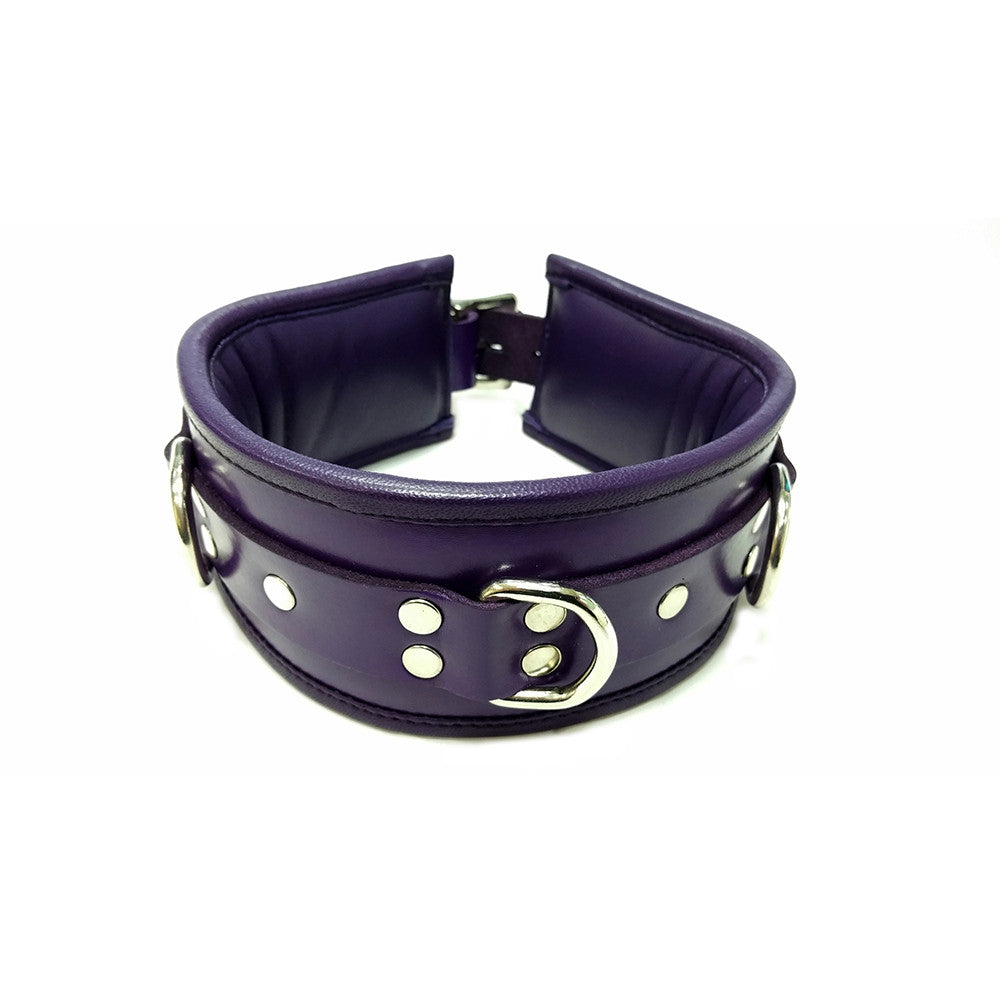 Leather 3 D-Ring Padded Collar