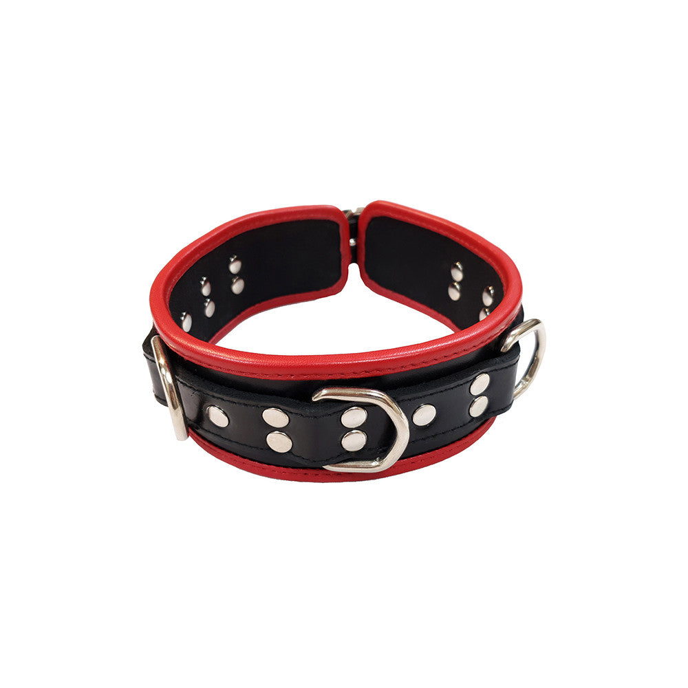Leather 5 D-Ring Collar with Coloured Piping